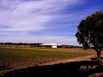 ForestHill1.jpg