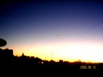 ForestHill17.jpg