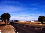 ForestHill3.jpg