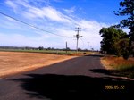 ForestHill9.jpg